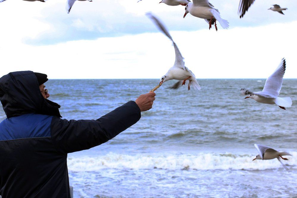 Человек и море