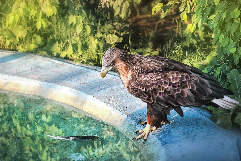 Photograph by яна