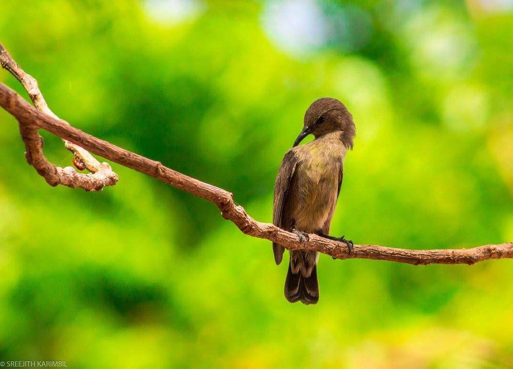 looking in a different angle