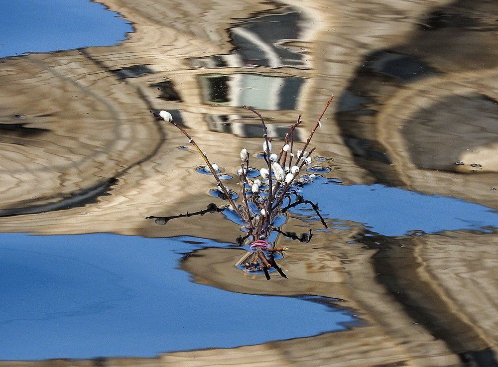 Вербное воскресенье