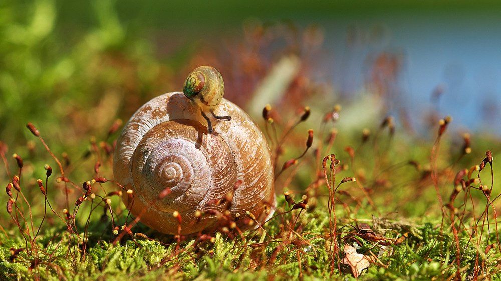 Отцы и дети