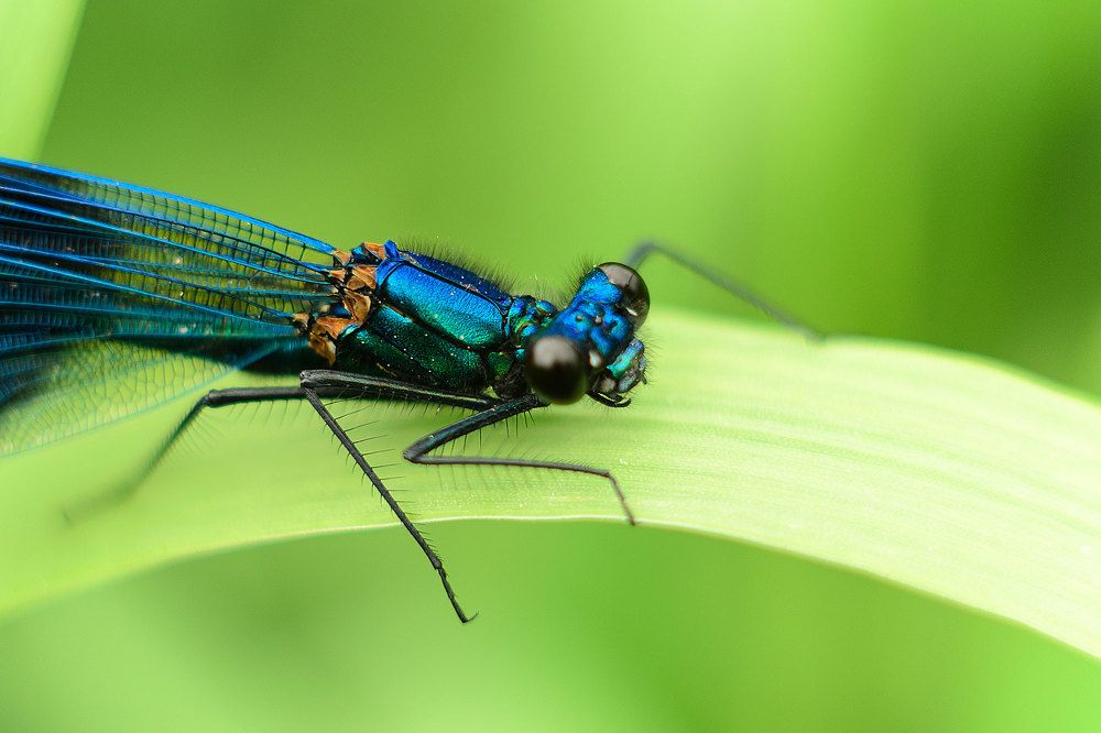 Photograph by Аксана Чалова