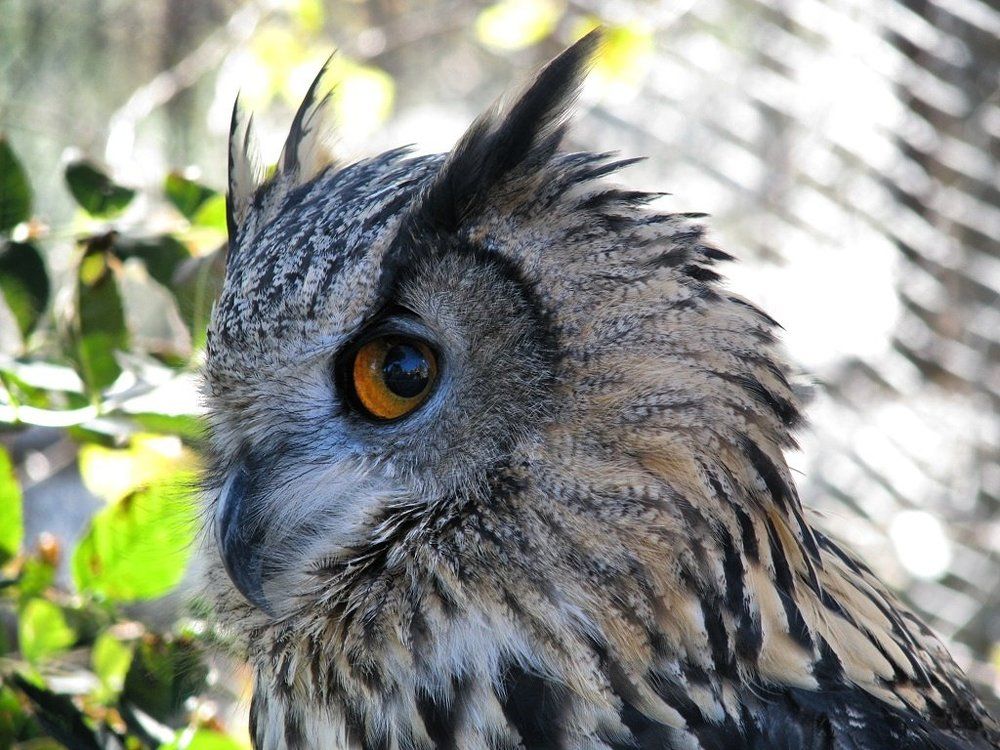 загадочная