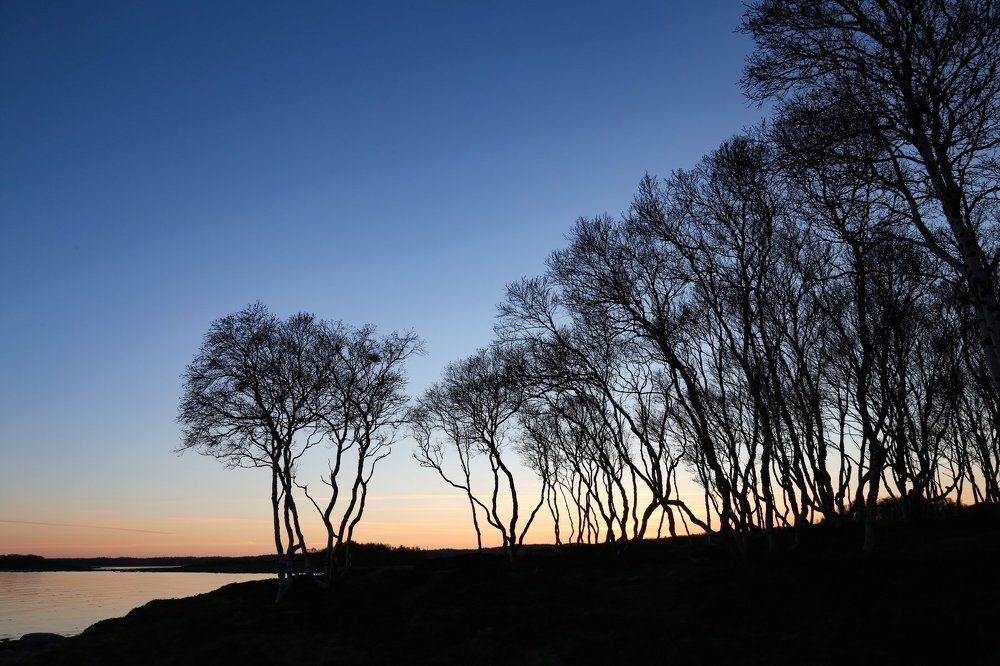 Белое море, белая ночь...