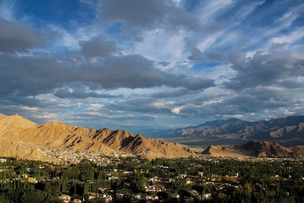 City of Joy, Leh
