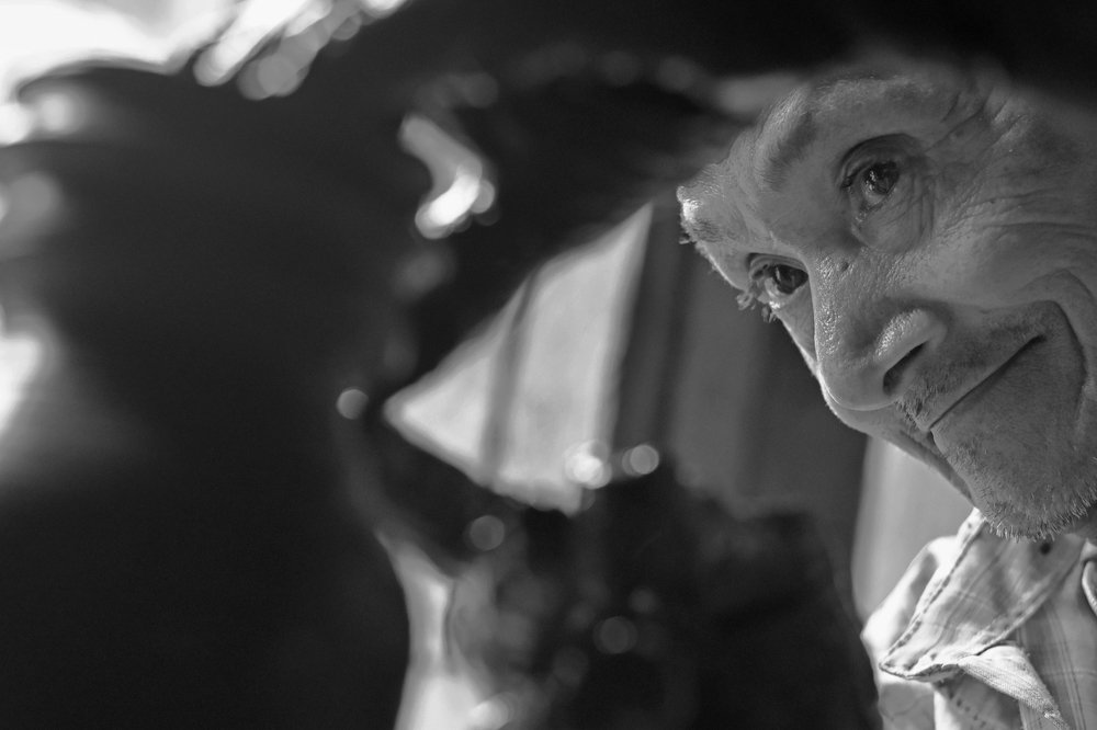 Turinig passion into job