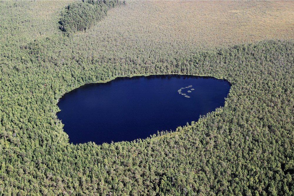 Таежное озеро смайл. Томская область