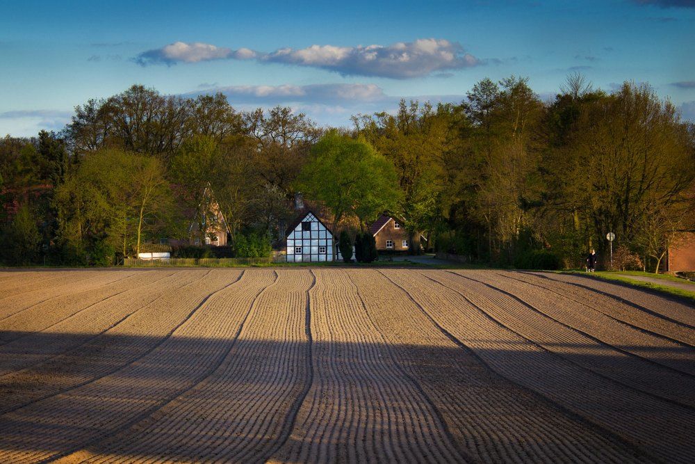 НА ЗАКАТЕ ДНЯ