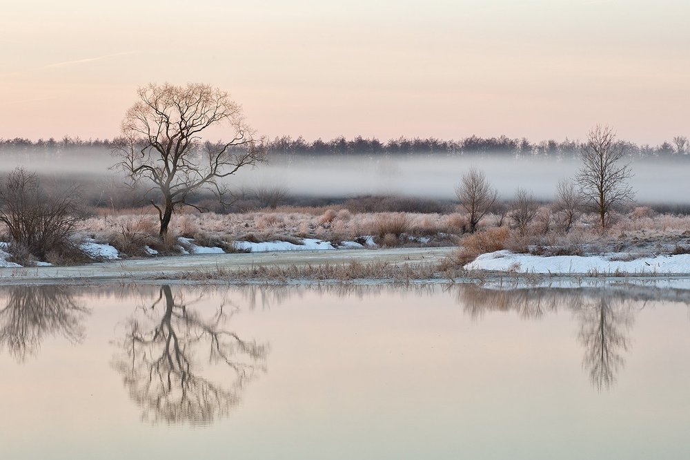 Photograph by Барабанов Алексей
