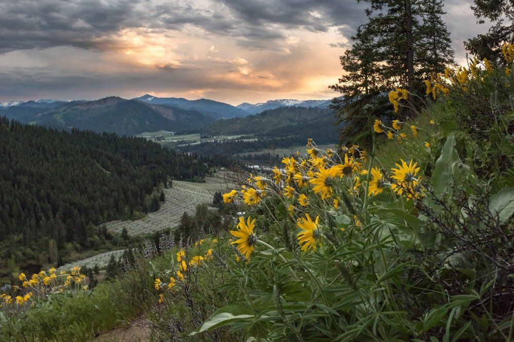 Лето началось