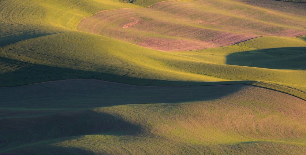 Волны Палуза