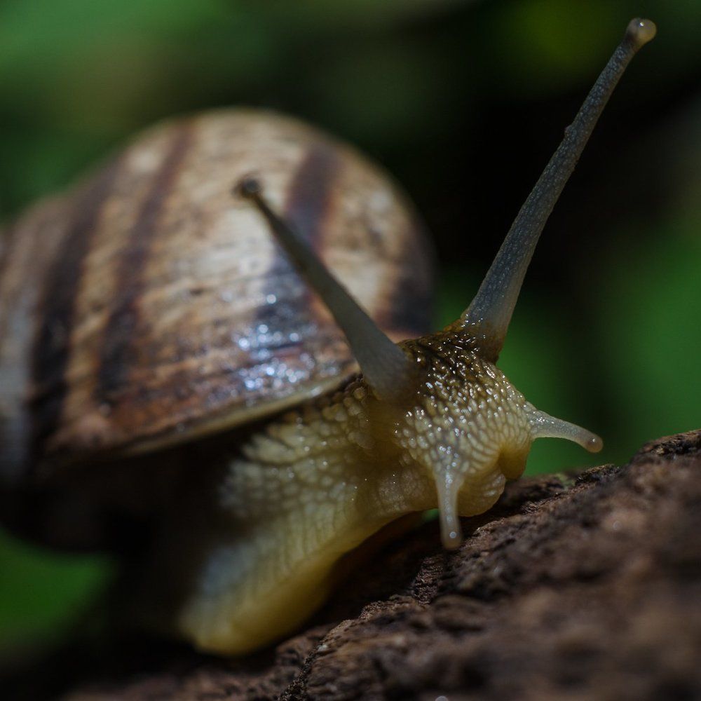 Неизвестный мир