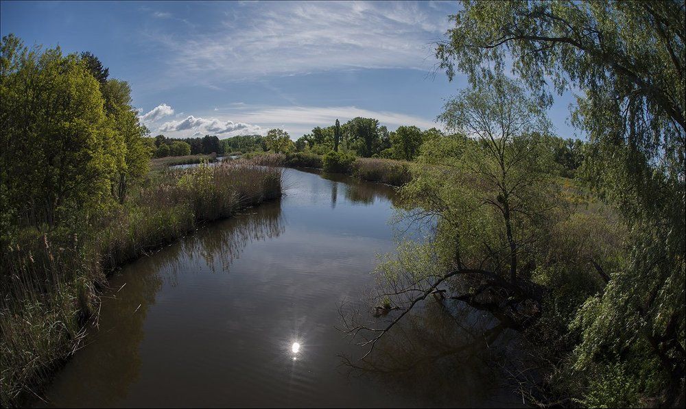 Летний полдень