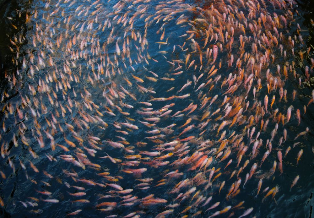 Бесконечность