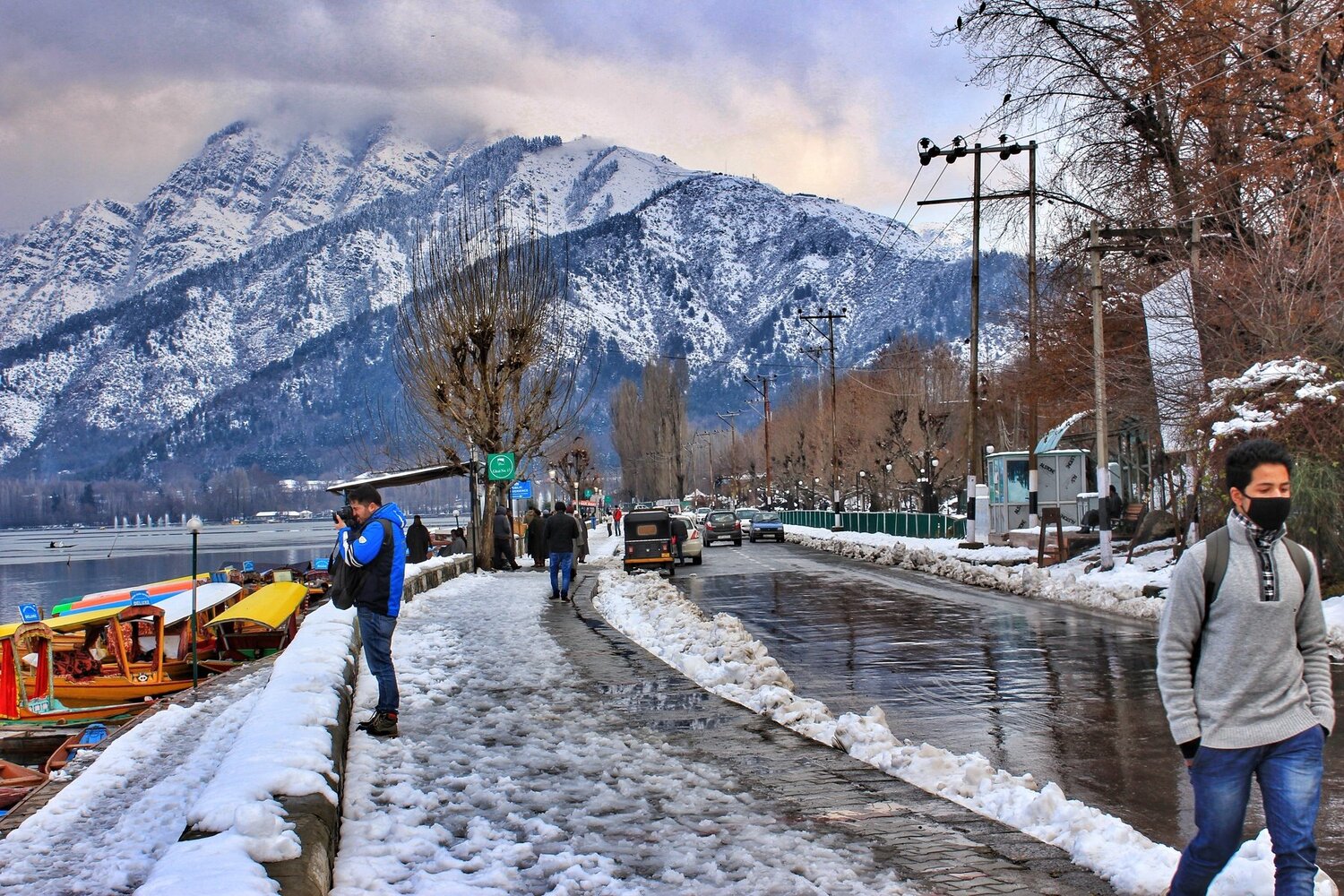 roadside of dal