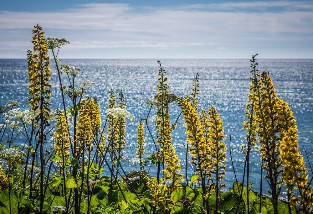 Лучше моря только море...