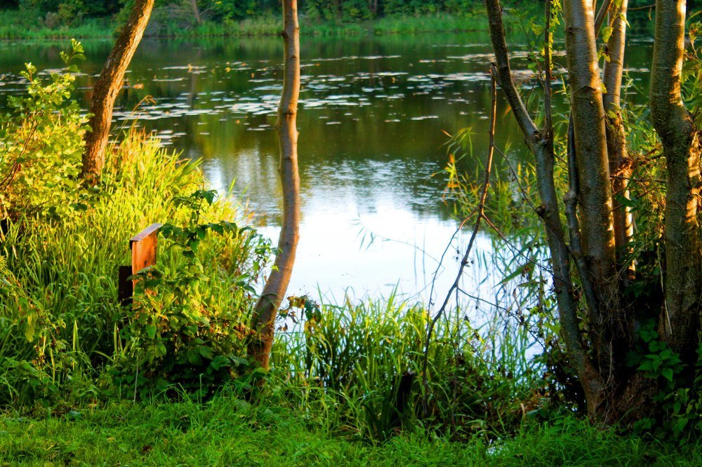 Photograph by Олег Стукалин