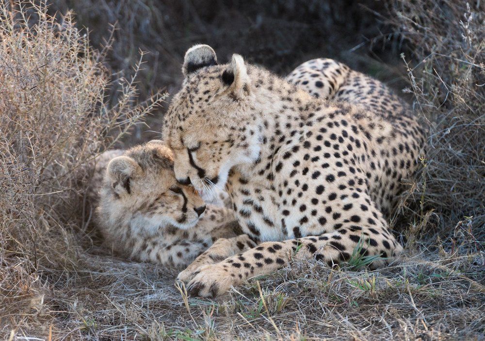 Мать и дитя