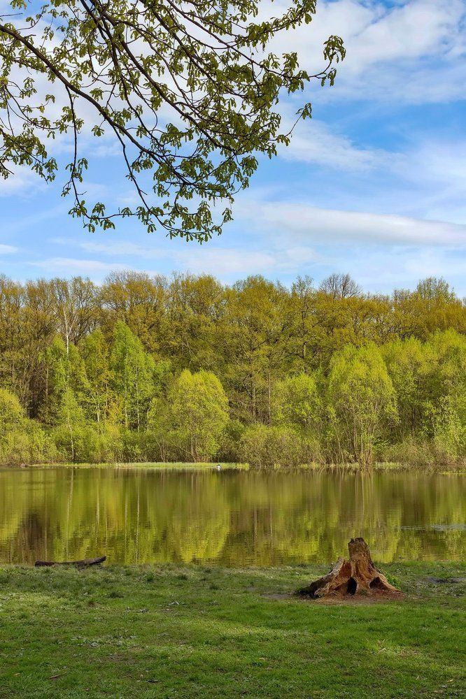 Терлецкий парк