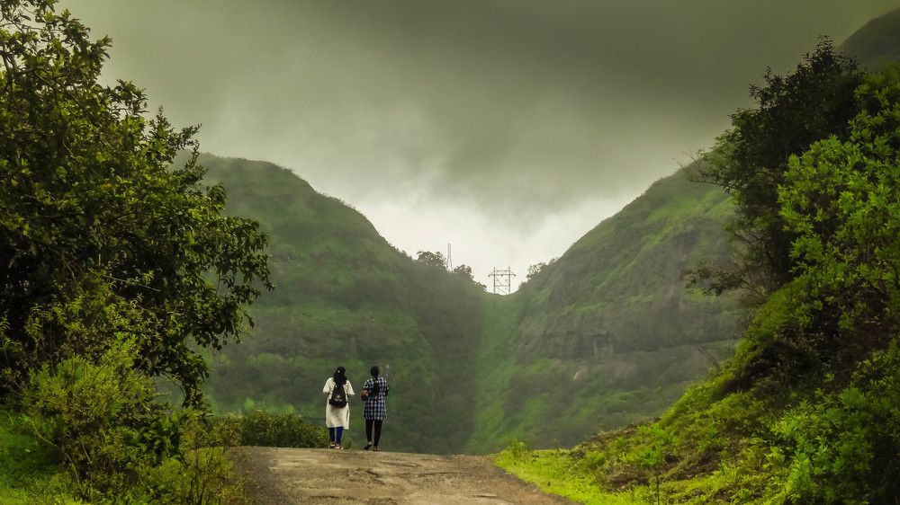A Walk With Nature...