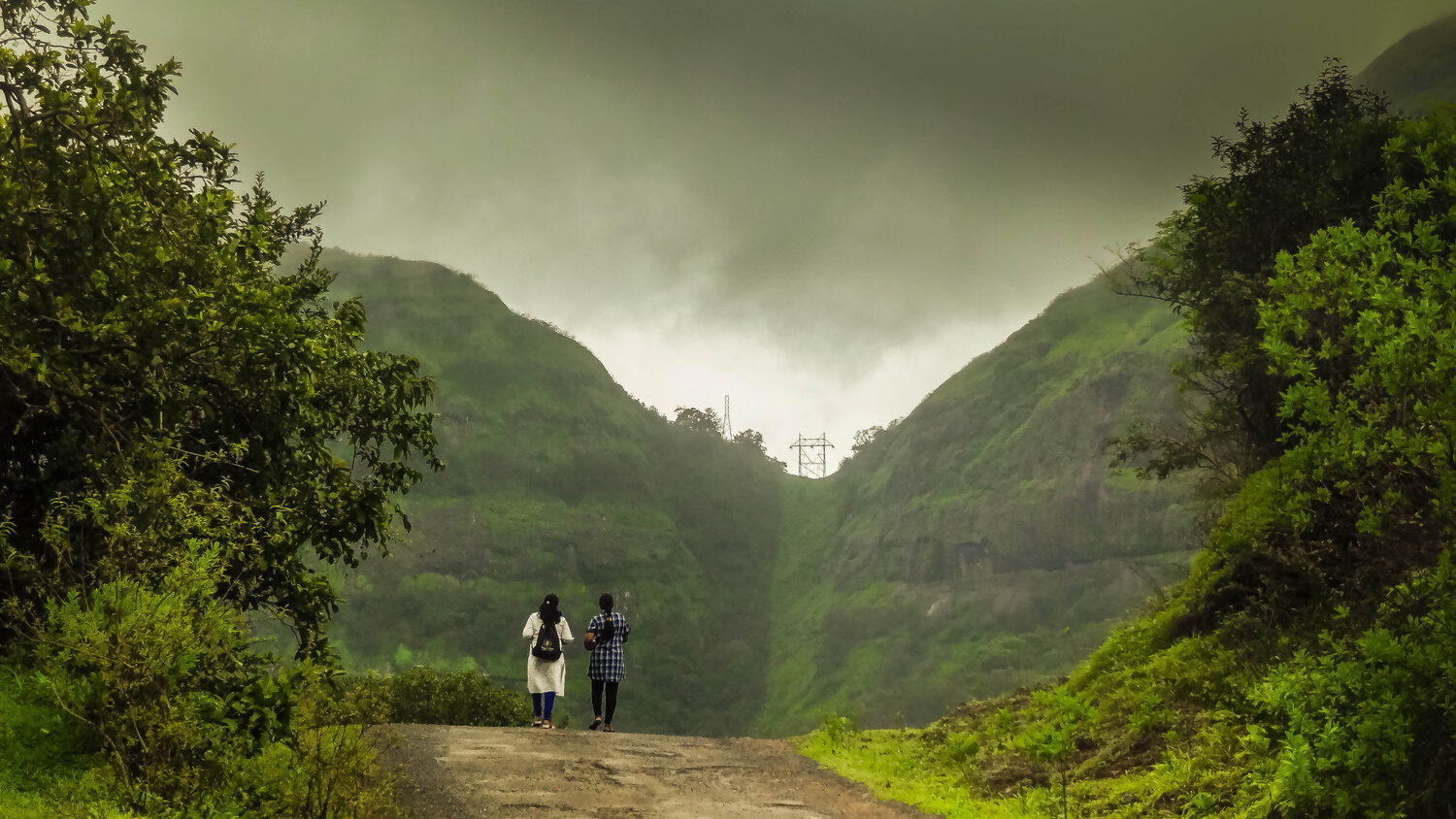 A Walk With Nature...