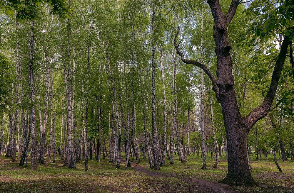 Один в поле не воин