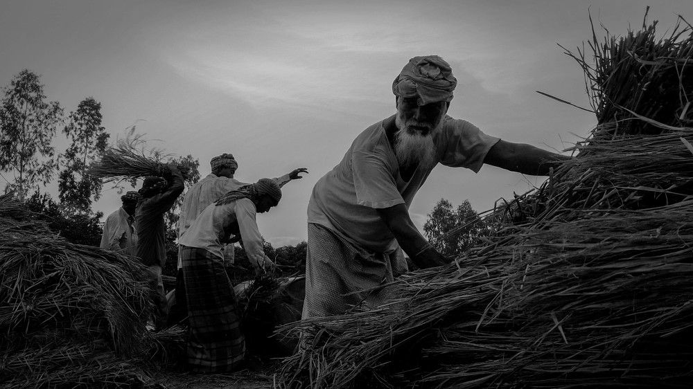 farmer