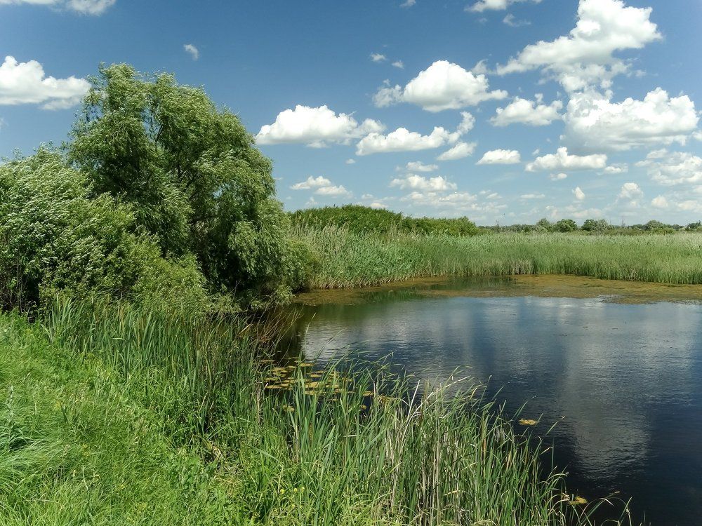 Photograph by Роман Васильевич