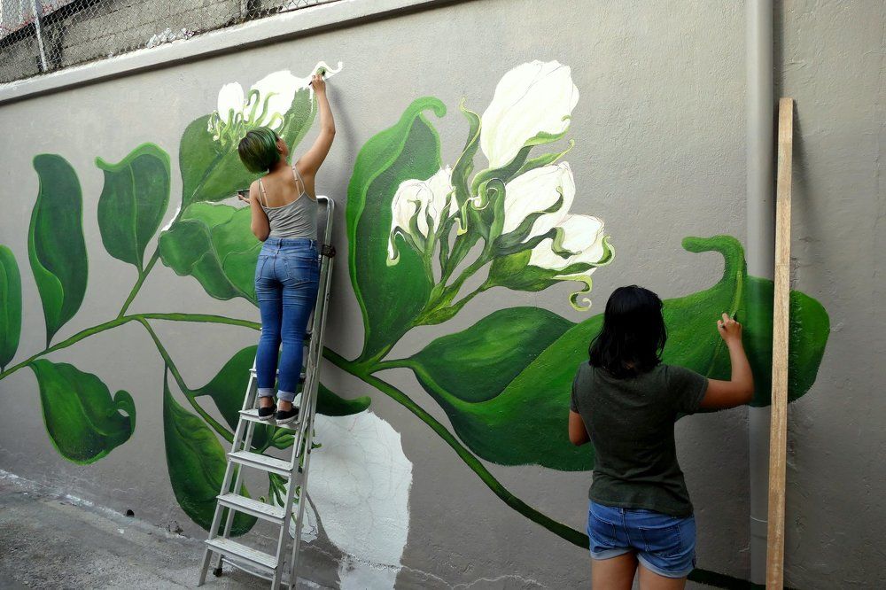 Городские цветы