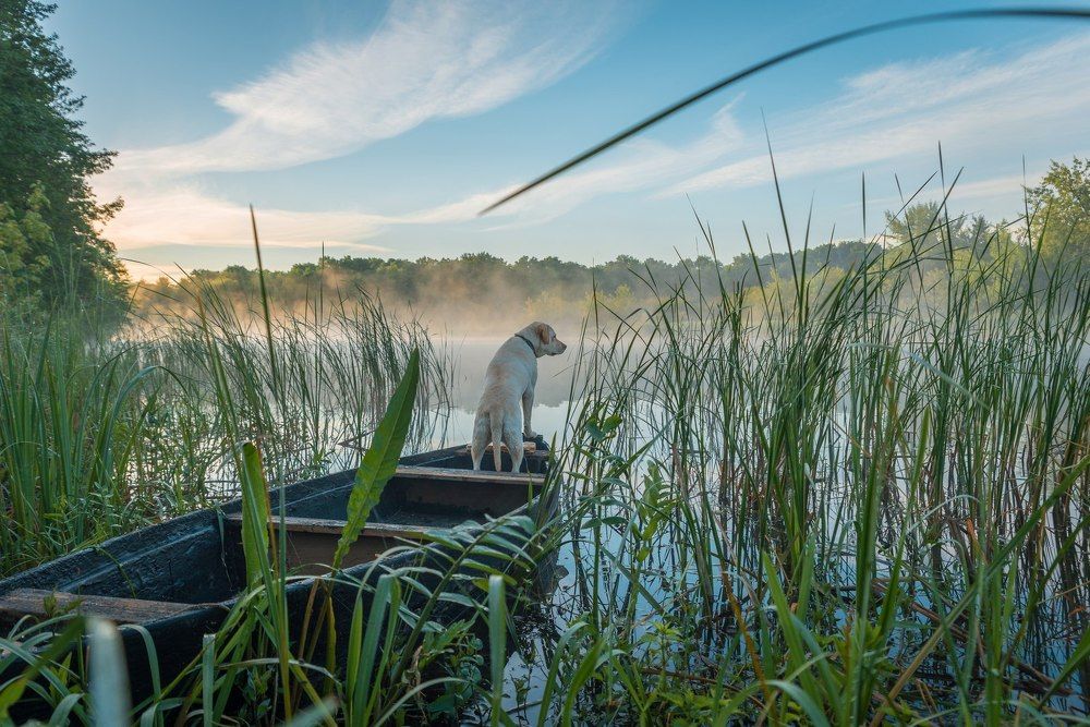Встречая рассвет