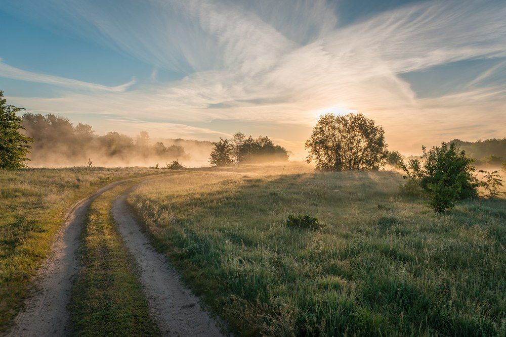 Утренний туман