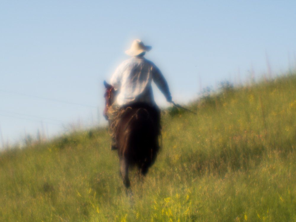 horseman in the field