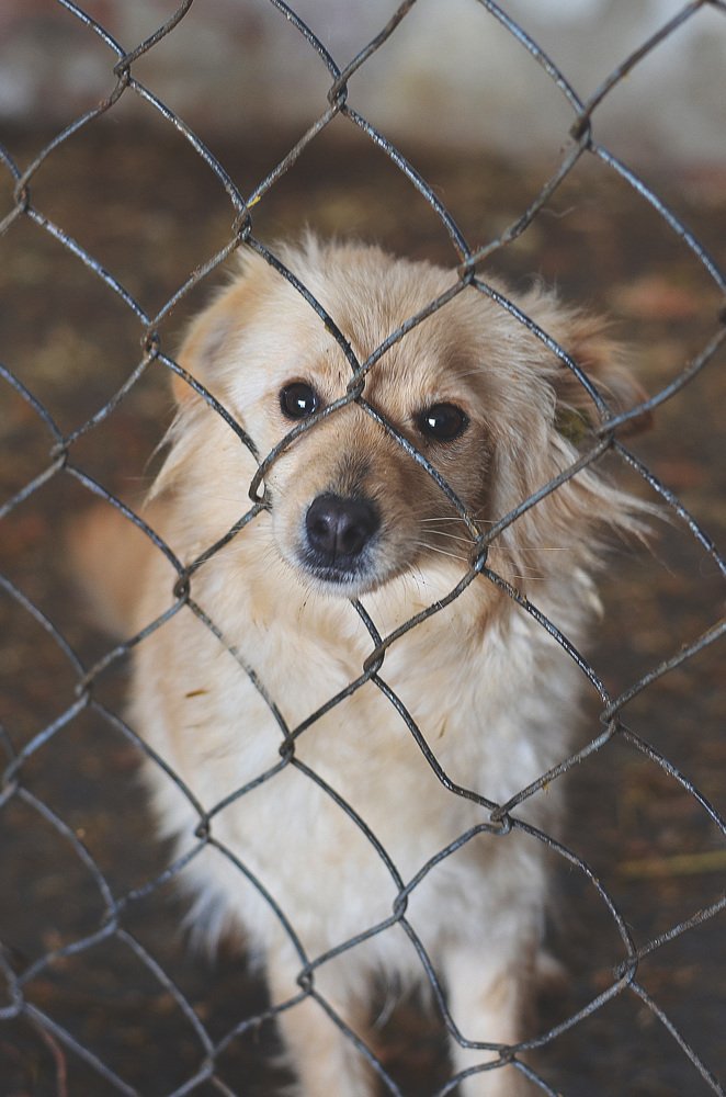 Забери меня!