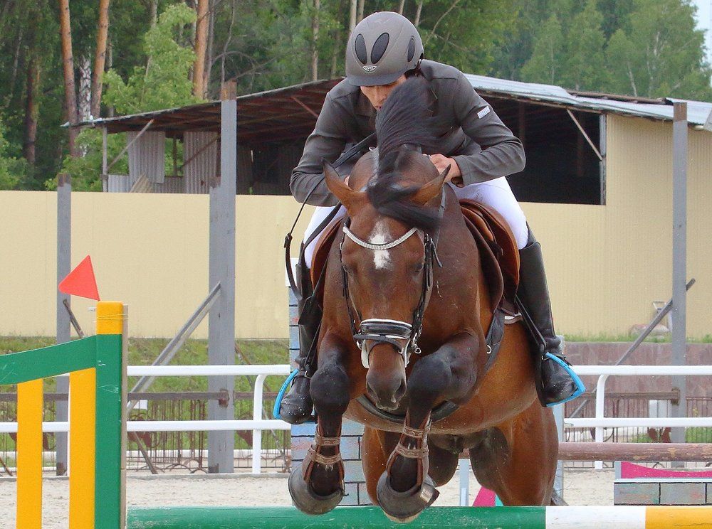 и только лошади летают вдохновенно