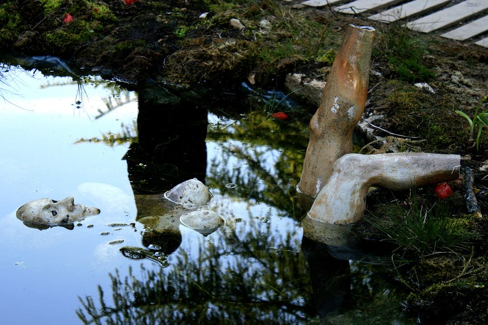 дизайн в парке