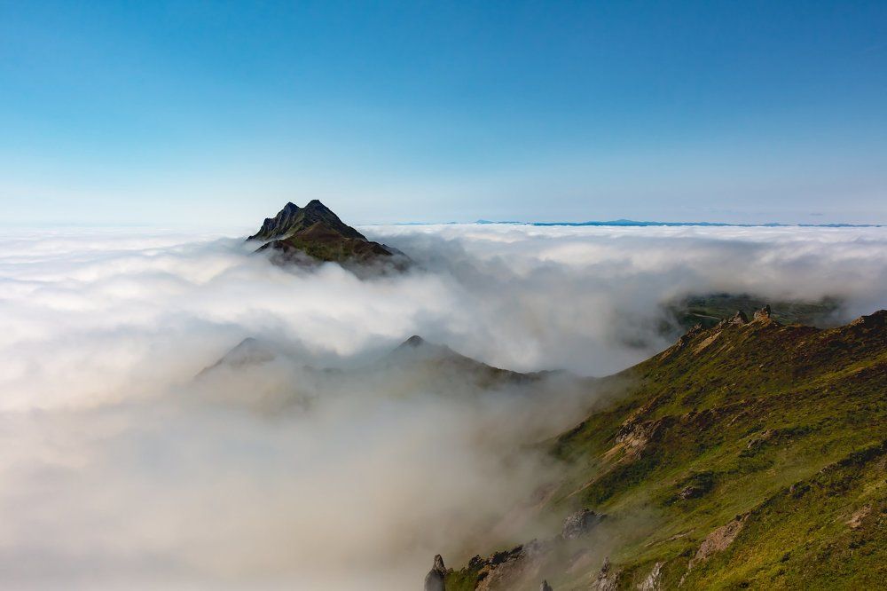 Выше только звезды