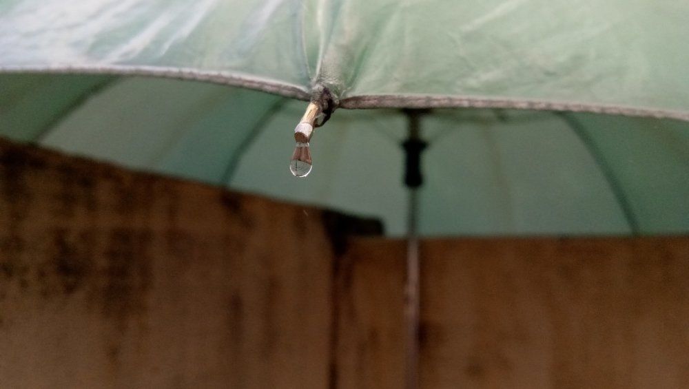 Rain Drop