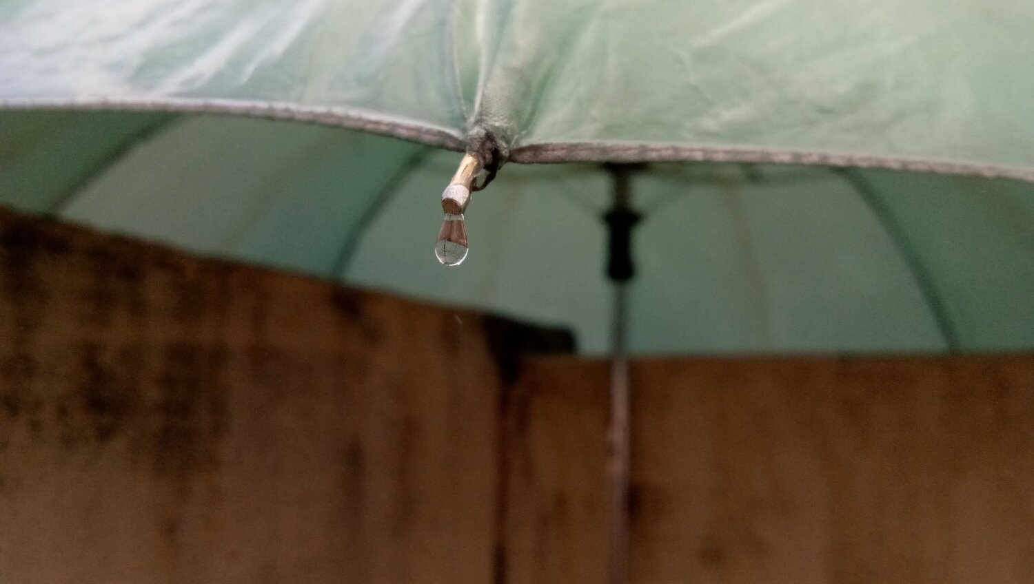 Rain Drop