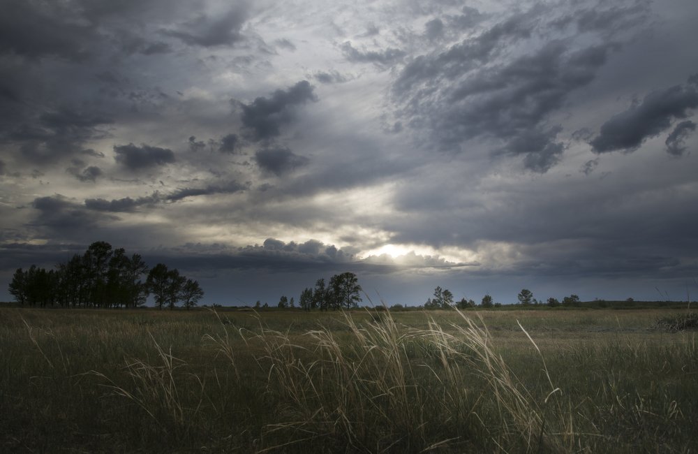 перед бурей