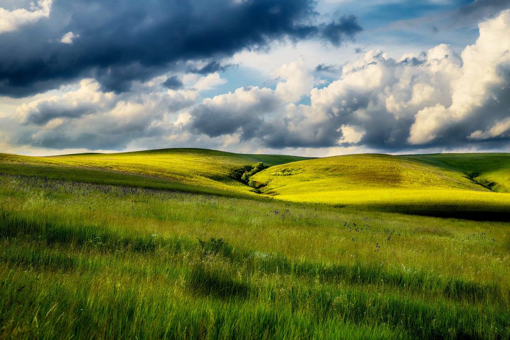 Photograph by Иванов Александр