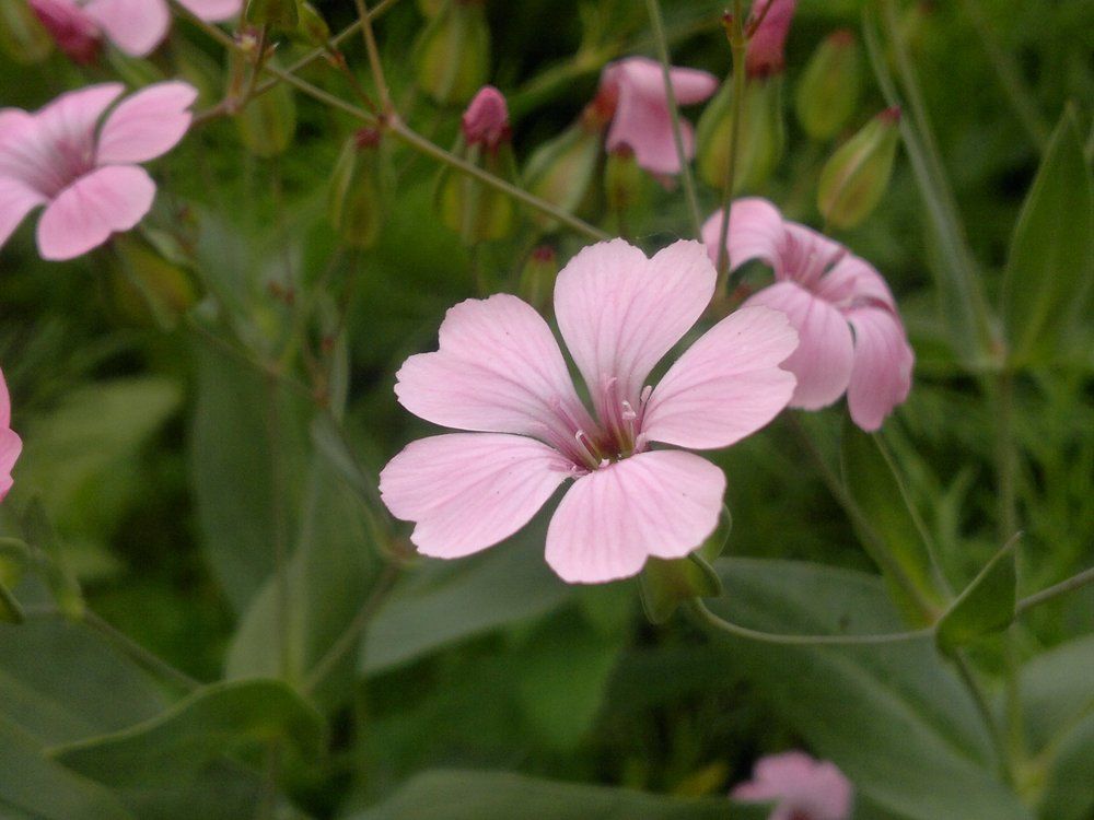 Photograph by Замазкин Графф