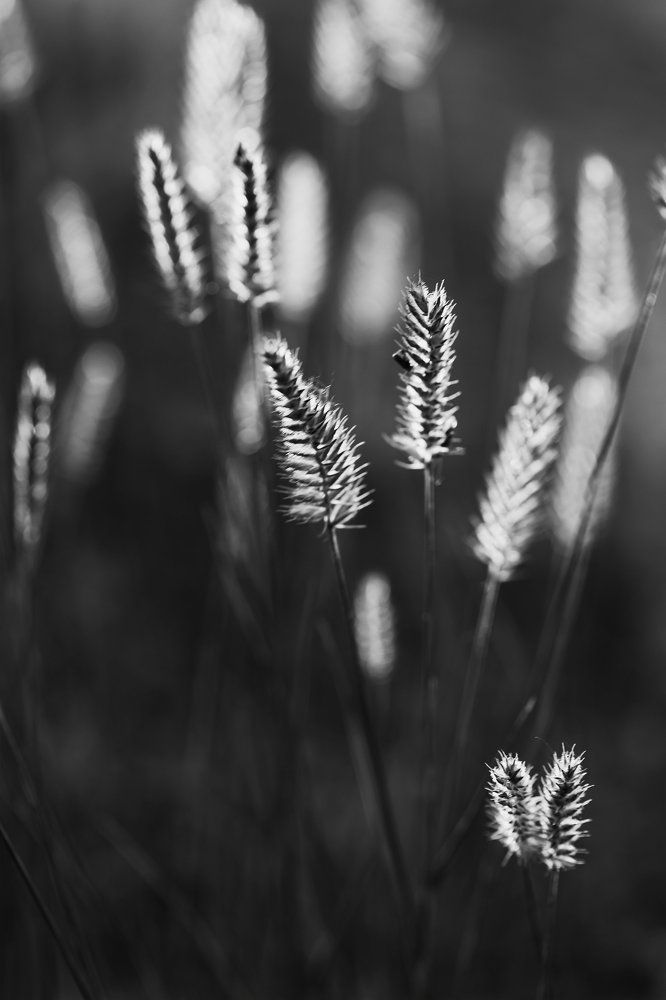 Фотография автора Игорь Баранов