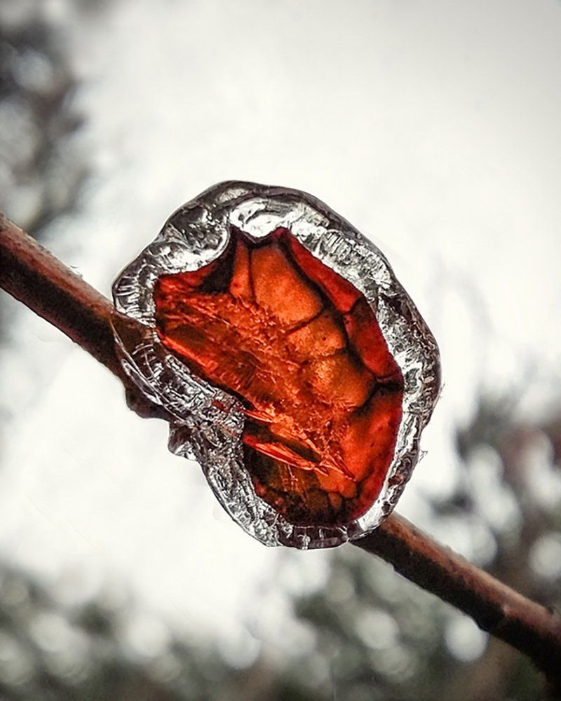 зимние самоцветы