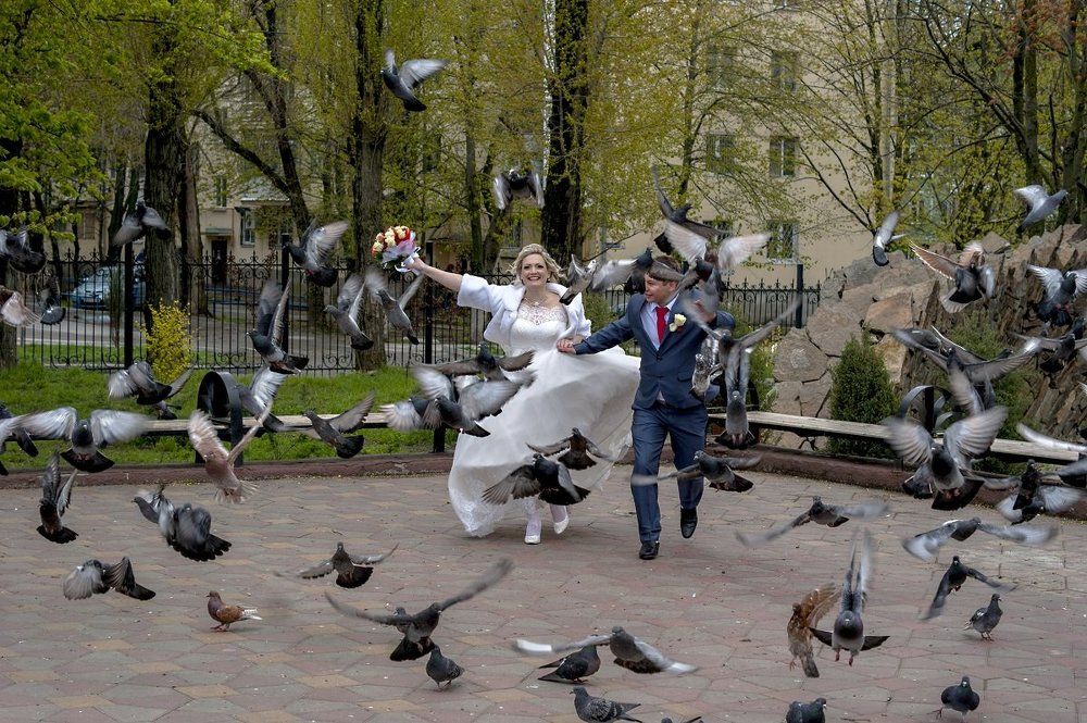 Любовь и голуби.