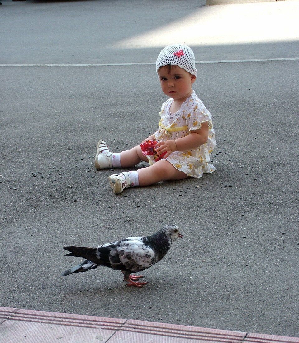 Девочка и голубь