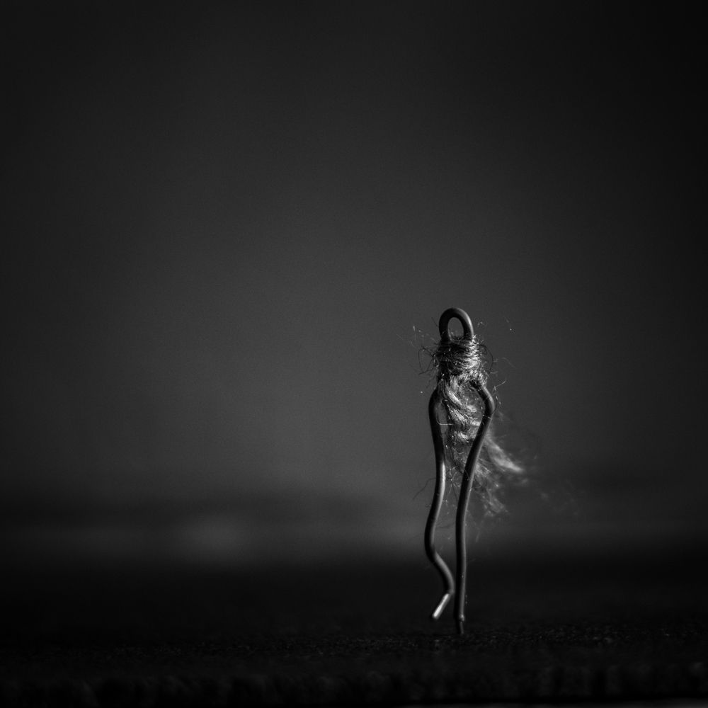 Путешественник