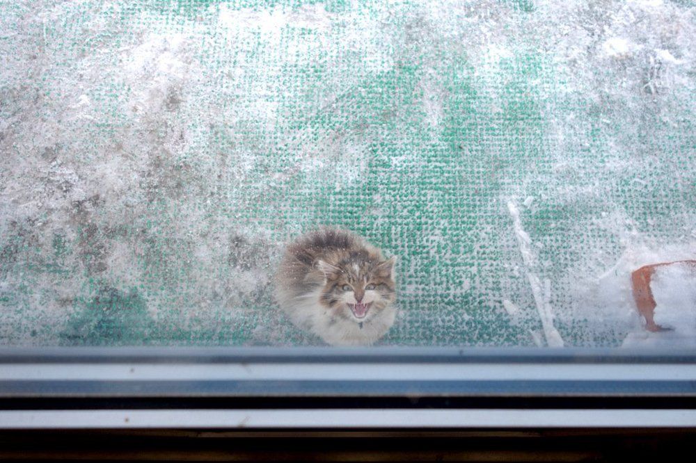 Photograph by Степанов Евгений