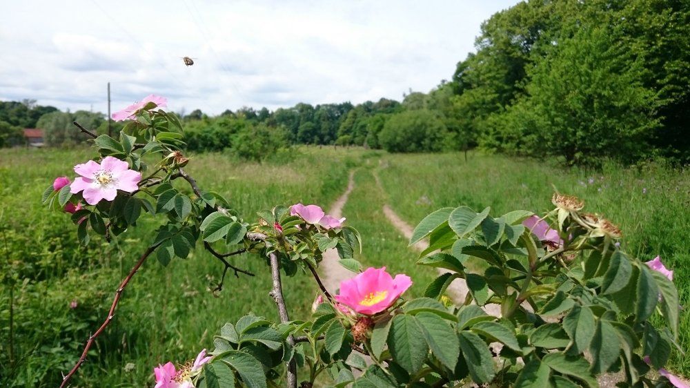 Вот такая дорога!