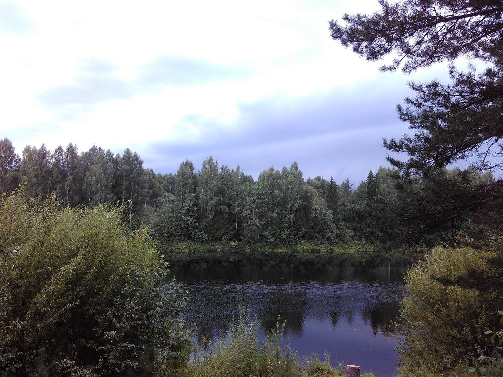 Природа.Север.Деревня.