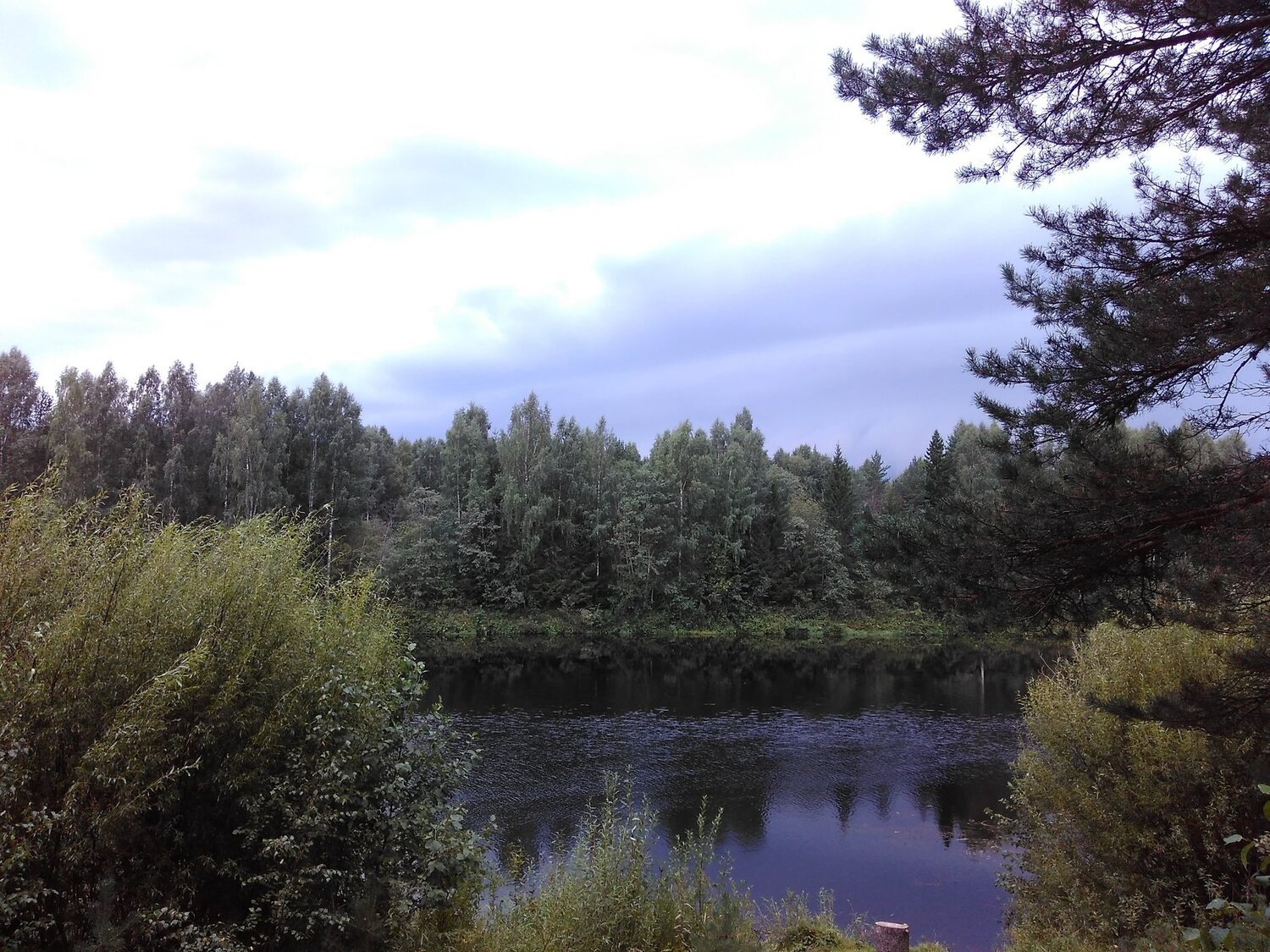 Природа.Север.Деревня.